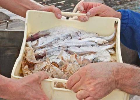 The GAA are looking for candidates with innovative practices for aquaculture. Photo: WWF