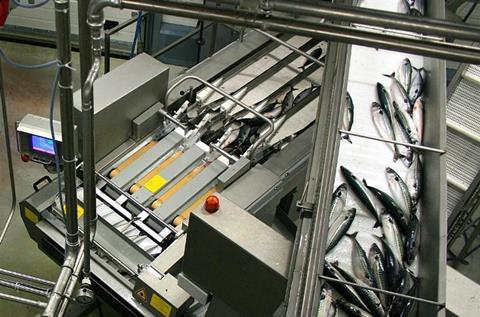 HB Grandi’s Vopnafjödur plant.( Photo: HB Grandi/ Jón Sigurðarson)