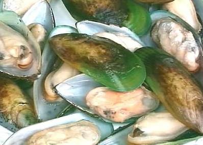 The Greenshell mussel – earmarked as a growth market