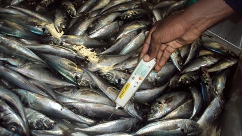 Each of the packages delivered to Desert Diamond produces six tonnes of flow ice to pre-chill and hold freshly landed fish before being frozen.