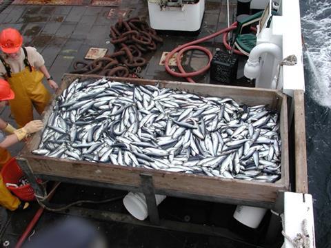 Federal regulators re-opened areas to midwater trawlers in 1998 after they claimed their gear would not catch groundfish.