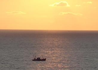 Sea Around Us project has received US$2.6 million to improve fisheries data in African and Asian countries