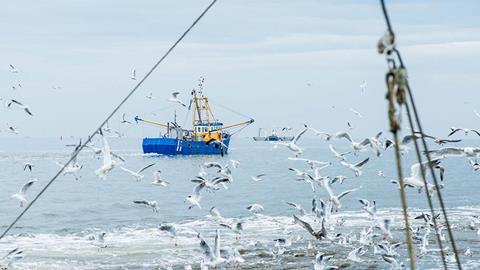 Dutch vessel