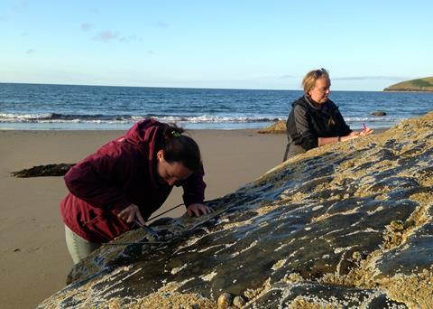 The researchers hope to develop models to predict future impacts of climate change, fishing and ocean acidification Photo: MarClim/MBA