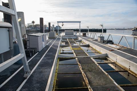 Environment Flupsy Aquaculture Roper