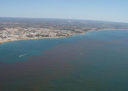 Red tide off Portugal. Credit: SAMS