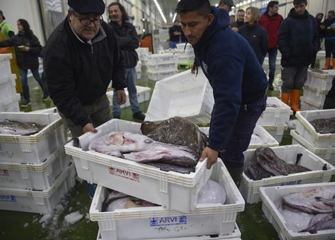 Maintaining Vigo’s fisheries value chain