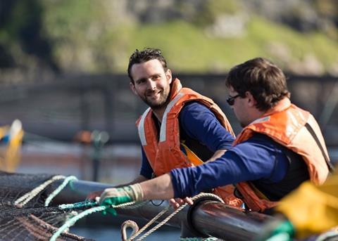 The project will determine the ability of ultrasound to delouse salmon in a way that neither harms the host fish nor the environment
