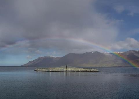 Arctic Fish is the first Icelandic aquaculture producer to become ASC certified
