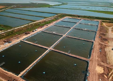 Europe's largest shrimp farm
