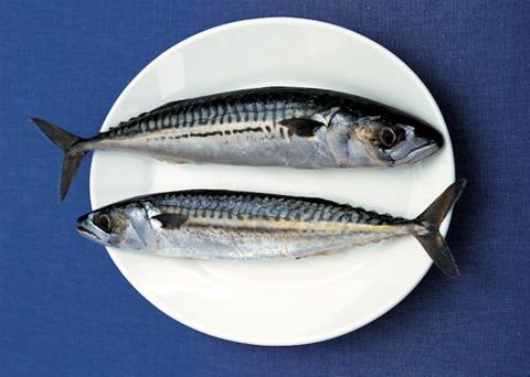 Pandemic turns people onto pelagic fish