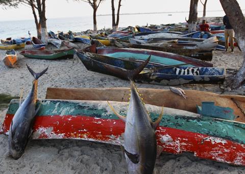 The Mozambique government is taking a stand against illegal fishing in the country. Photo: Steve Evans