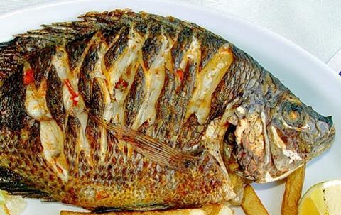 Rongfu is one of China’s leading tilapia fry and adult fish producers.