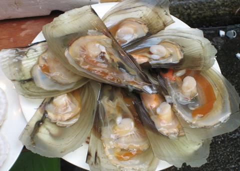 The research will improve the sustainability of the mussel business. Photo: Jessica King/Marine Photobank