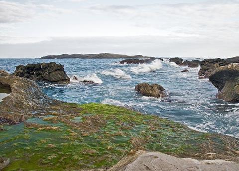 Algae farm’s first with ASC-MSC certification