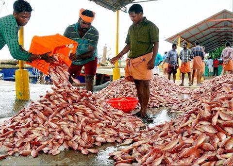 India’s fisheries boost scheme