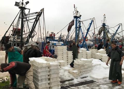 Europêche has welcomed an EU-Morocco agreement Photo: Europêche