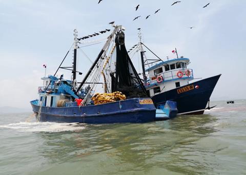 The MarinTrust Improver Programme has brought benefits to a Panama small pelagics fishery Photo: MarinTrust