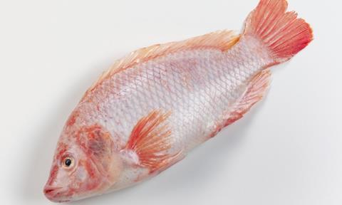 This is the first time fresh British-farmed tilapia has been available in the UK.