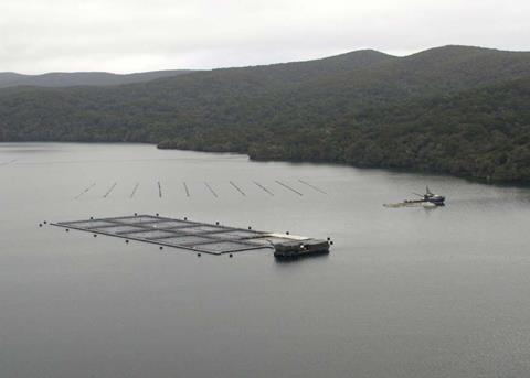 Sanford is looking forward to investing further in Southland