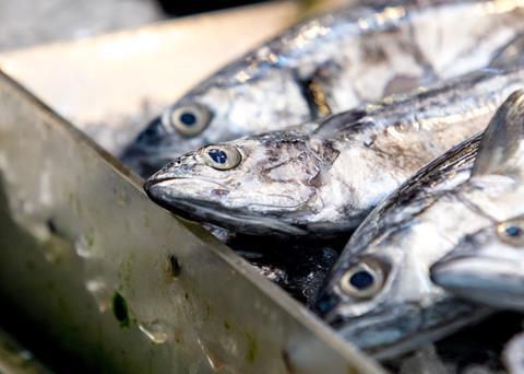 MEP John Proctor warns of turbulent times ahead for the UK fishing industry Photo: Allott and Associates
