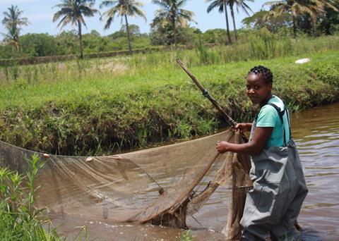 Promoting aquaculture in Mozambique