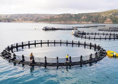 Barramundi Group has floated on the stock market Photo: Barramundi Group