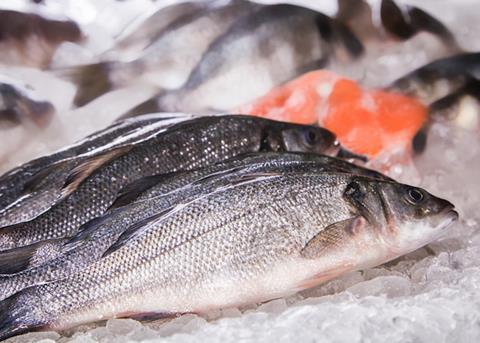 European aquaculture - Too soon to be bullish