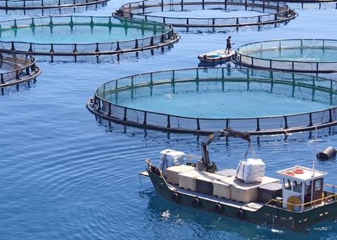 The 'Sustainable seafood and responsible investment' report has been published by Aviva Investors and the Sustainable Fisheries Partnership