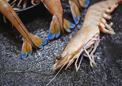 Sea Harvest bid for Mareterram