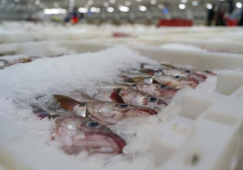 Support for Scottish seafood businesses