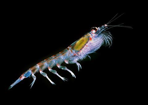 AFC has been awarded FoS certification for its Antarctic krill