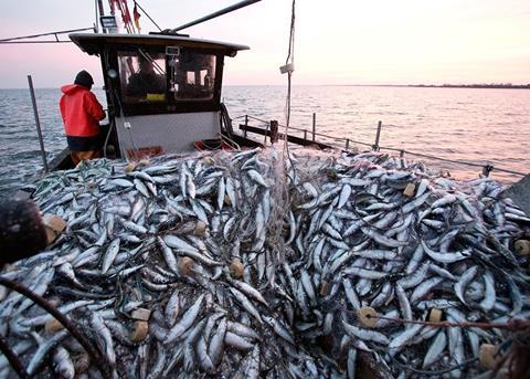 All EU vessels now have to report all landings under the recently reformed Common Fisheries Policy © European Commission