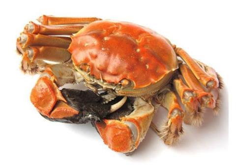 A Chinese hairy crab farm has become the world’s first crab farm of any kind to earn BAP certification