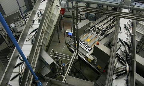 HB Grandi has processed 17,000 tonnes of pelagics at its Vopnafjörður plant. (Photo: HB Grandi/Jón Sigurðarson)