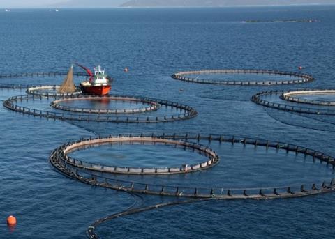 The project will investigate how waste from the aquaculture and agriculture industries can best be used to create renewable energy
