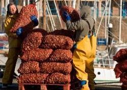 The redevelopment is part of the port's wider plan to boost the industry and strengthen the economic ties between the town and the fishing industry