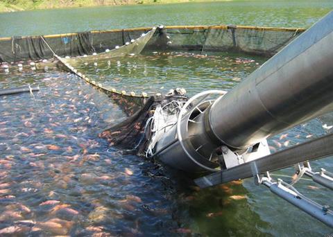 Russian aquaculture up in 2018