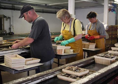 Insurance broker Gallagher has launched a new aquaculture team Photo: Gallagher