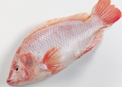 The ASC aims to make Chinese tilapia more environmentally sustainable