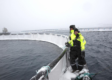 The Villa Arctic AS farm in Jarfjord, Norway, is the first salmon farm worldwide to be awarded ASC certification