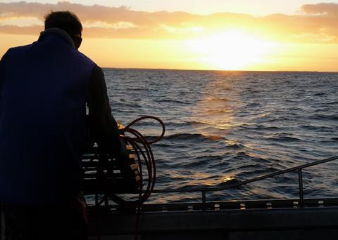 WAFIC has welcomed news that the government has revised a lobster reform proposal Photo: WAFIC