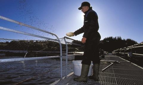 Nutreco’s fish feed revenues were 14.3% higher in Q3 2010 than in the corresponding quarter of 2009.