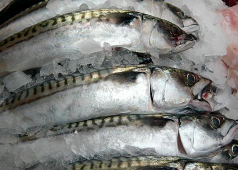 The EU Fisheries Council has agreed to ‘bank’ 25% of 2014 quota for mackerel and herring. Credit: Jessica/CC-BY-2.0