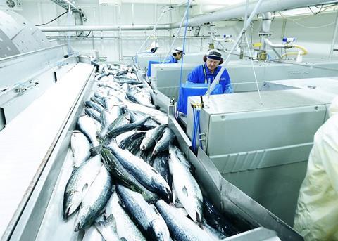 Seafood is not connected to the Covid-19 pandemic, say experts Photo: Norwegian Seafood Council