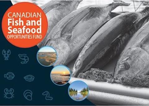 Canada re-opens Opportunities Fund