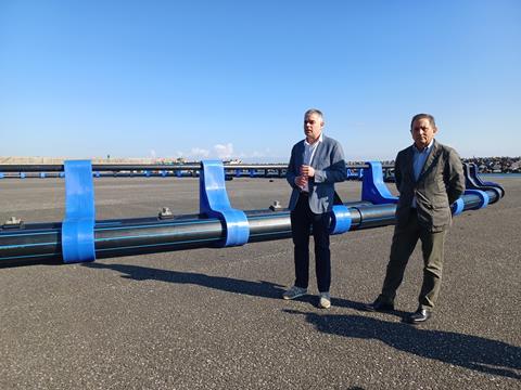 Itsasbalfegó bluefin