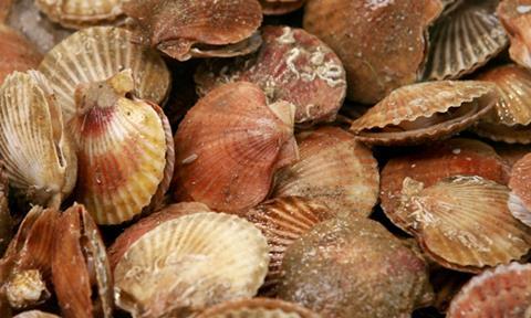 If the current rate of acidification continues a wealth of marine life will be seriously damaged by 2050, suggests the new guide.
