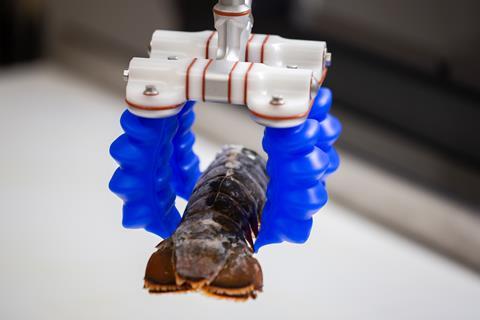 Soft Robotics Lobster Tail