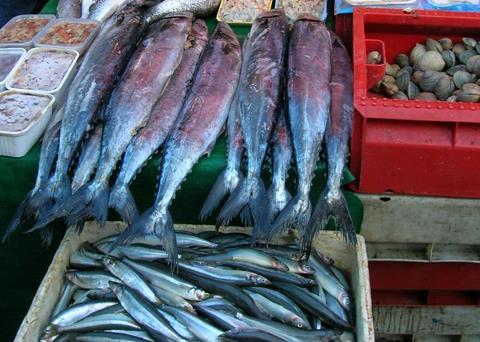 The study predicts that declining fish stocks could have serious health consequences. Credit: Marisa Garrido